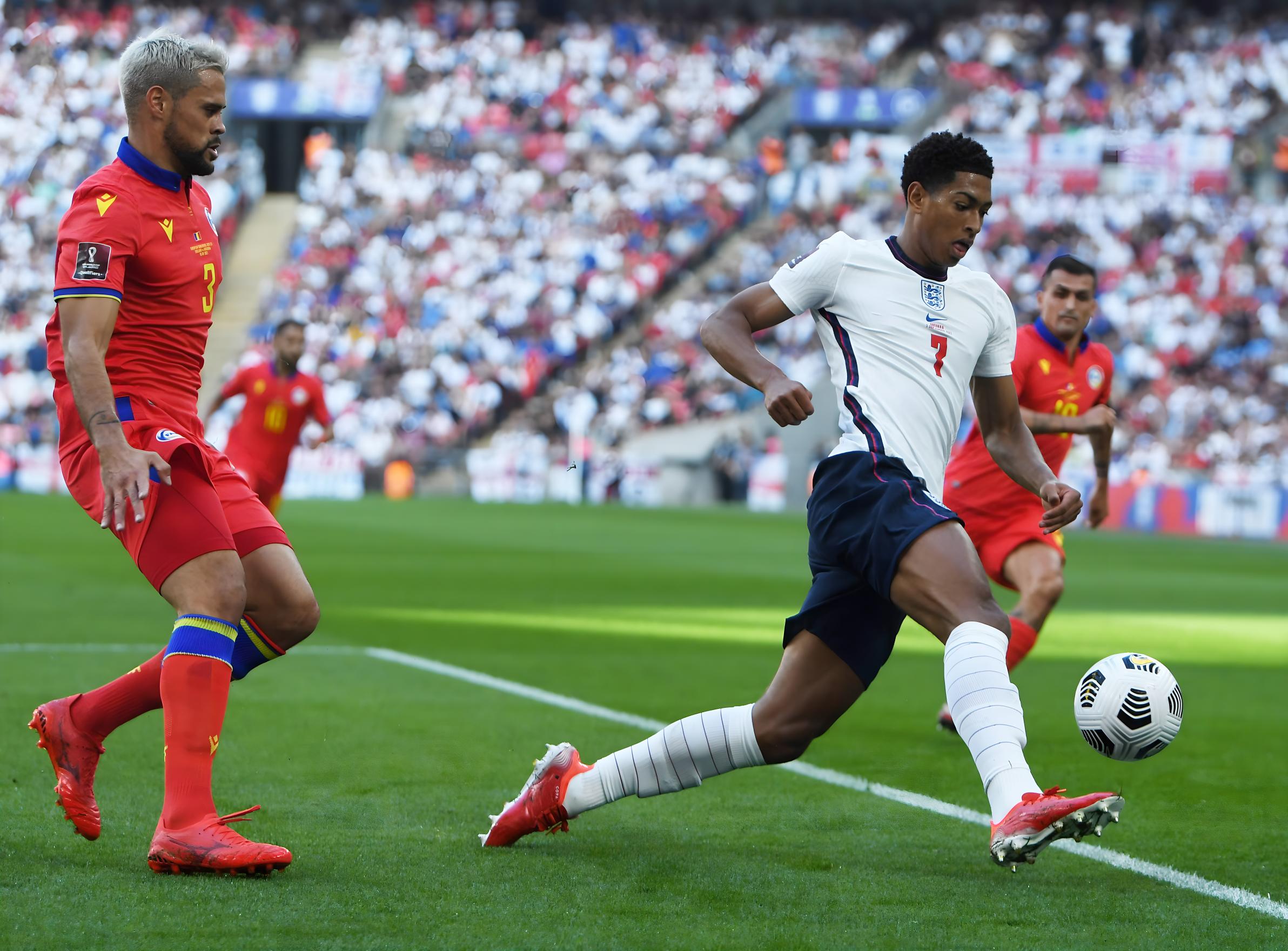 这引发了不 这引发了不